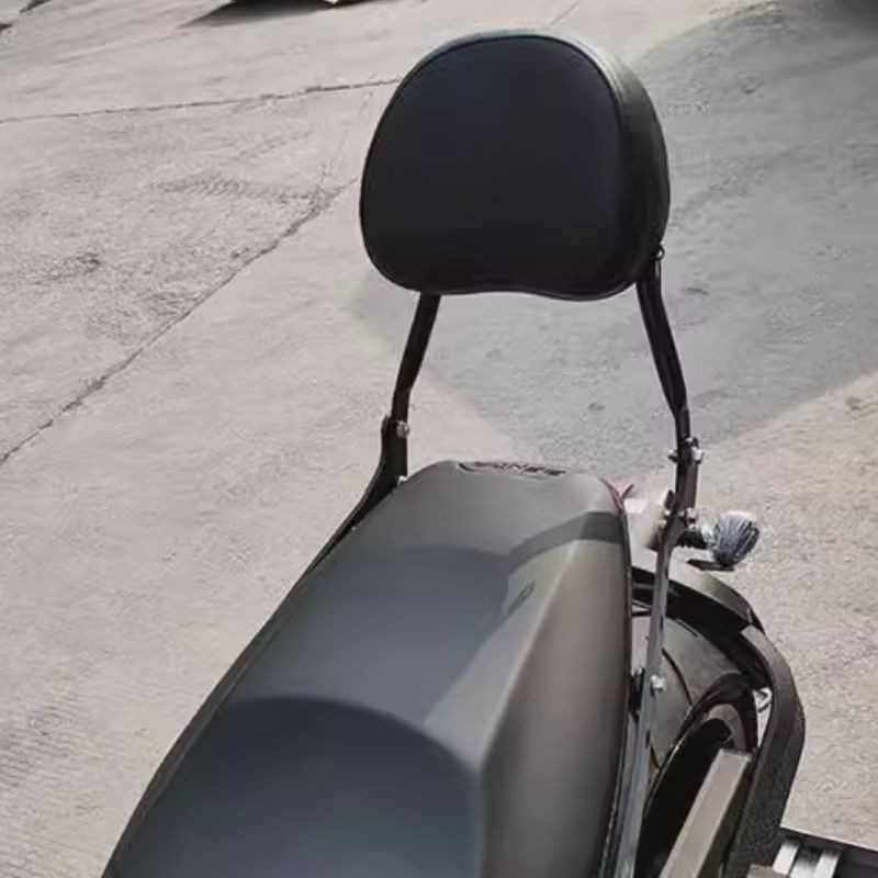 LFC700 fixed passenger backrest